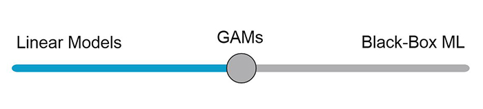 A continuum from Linear Models to Black-Box ML with GAMs in the center.
